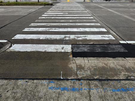横断歩道 横断歩道の写真