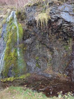フンベの滝 自然,風景,木の写真素材