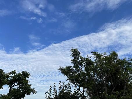 秋の空 秋の空の写真