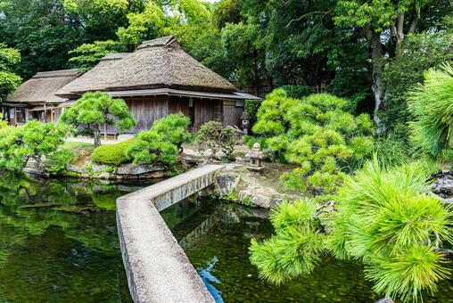 岡山県　岡山後楽園の風景 後楽園,岡山後楽園,日本庭園の写真素材