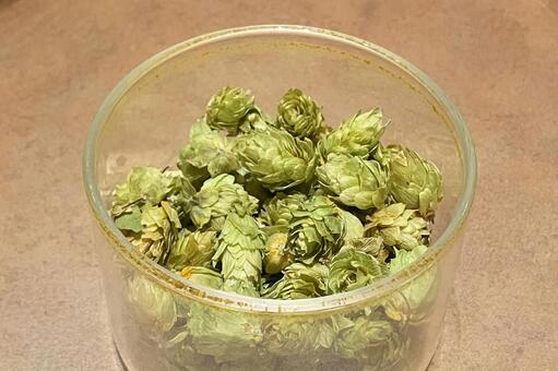 ホップ ホップ,ビール,植物の写真素材