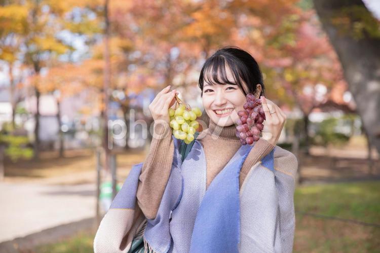 秋の公園でブドウを持つ女性 フルーツ,ブドウ,ぶどう狩りの写真素材