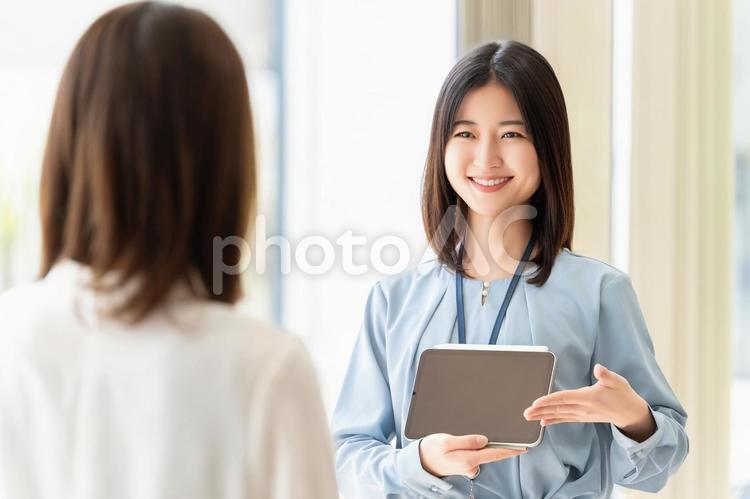 ミーティングをする2人のビジネスウーマン 女性,人物,ビジネスの写真素材