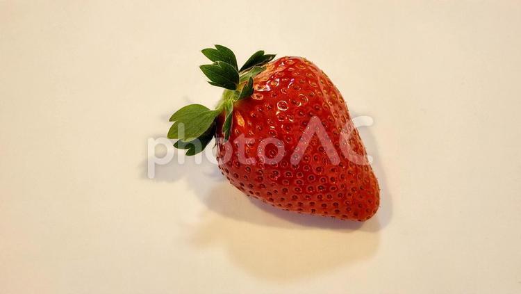 一粒のいちご いちご,イチゴ,苺の写真素材