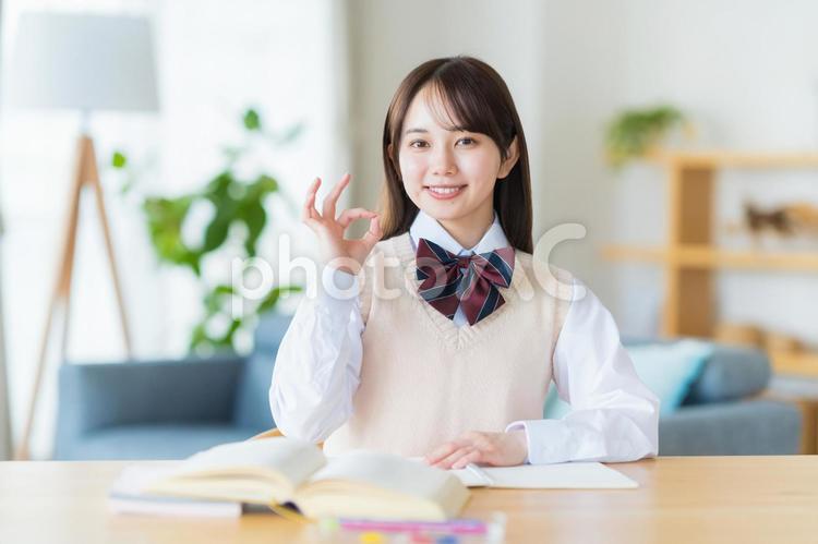 自宅で勉強をする女子高生 高校生,女子,笑顔の写真素材
