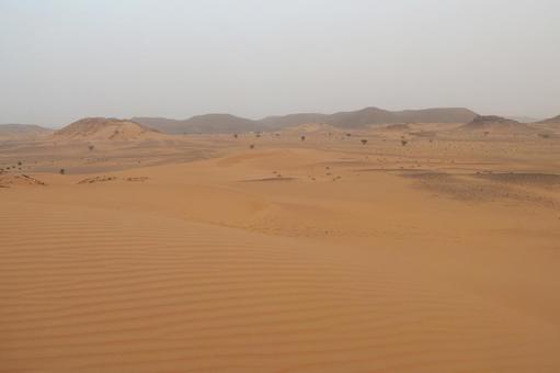 砂漠 砂漠 エジプト,中東,海外の写真素材