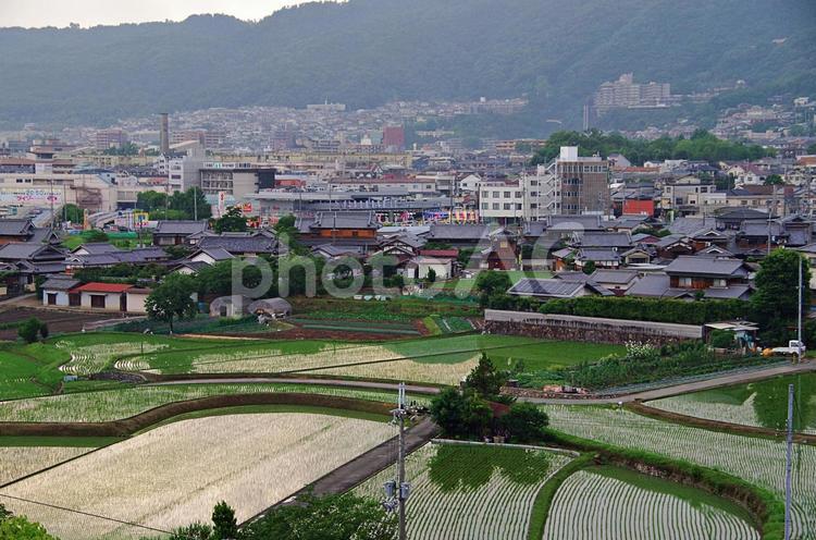 梅雨どきの郊外の風景 梅雨時,曇天,陽射しの写真素材