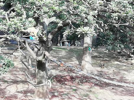 森林 森林の写真