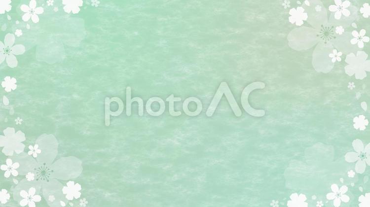 和柄_桜フレーム_和紙風緑 和紙,桜,テクスチャの写真素材