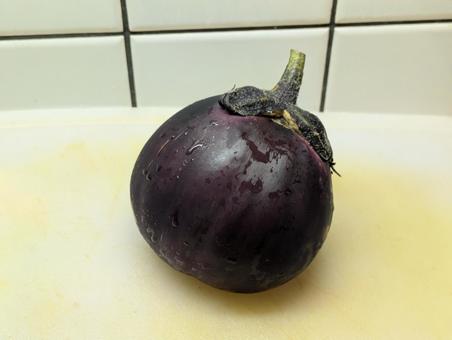 水茄子 水茄子 水茄子,ナス,茄子の写真素材