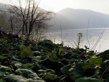 湖 湖の写真