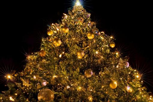 巨大ツリーのイルミネーションの写真