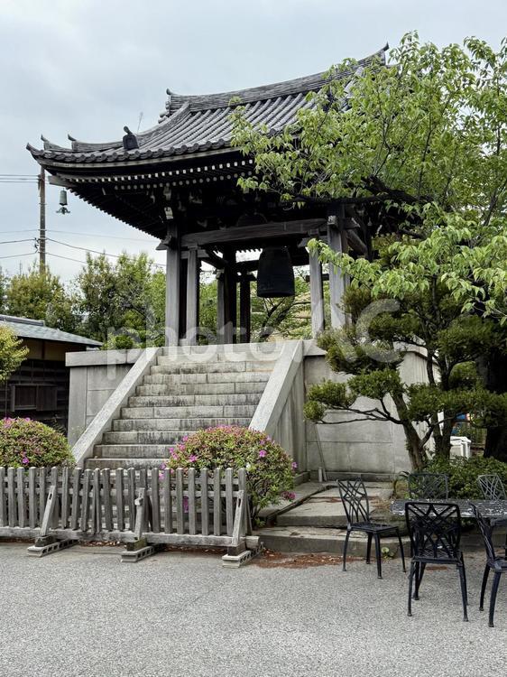 平井聖天　燈明寺　鐘 鐘,平井聖天,燈明寺の写真素材
