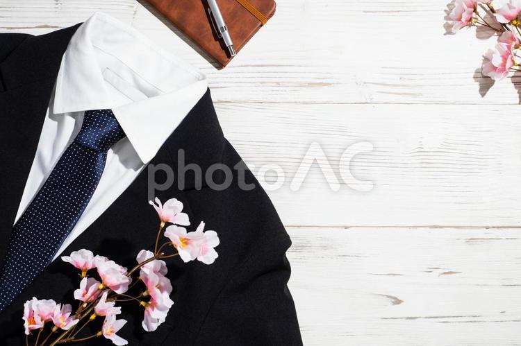 新生活や入社のイメージ（桜） 入社,新生活,桜の写真素材