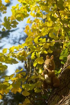 リスと銀杏の木 あみぐるみ,森,リスの写真素材