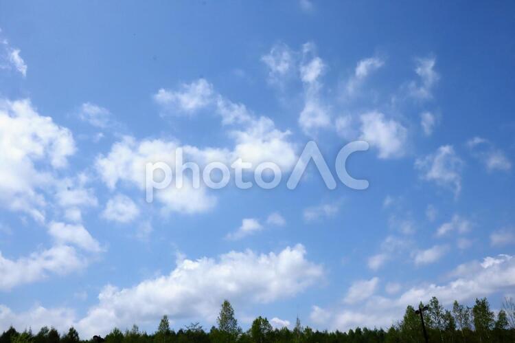 空と木々  風景  自然 テンプレート  背景,空,晴れの写真素材