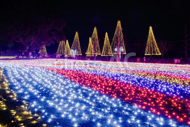 木曽三川公園のイルミネーション イルミネーション,キラキラ,木曽三川公園の写真素材