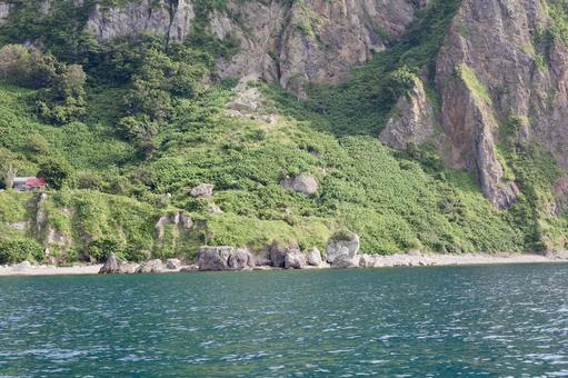 海と緑 海と緑の写真