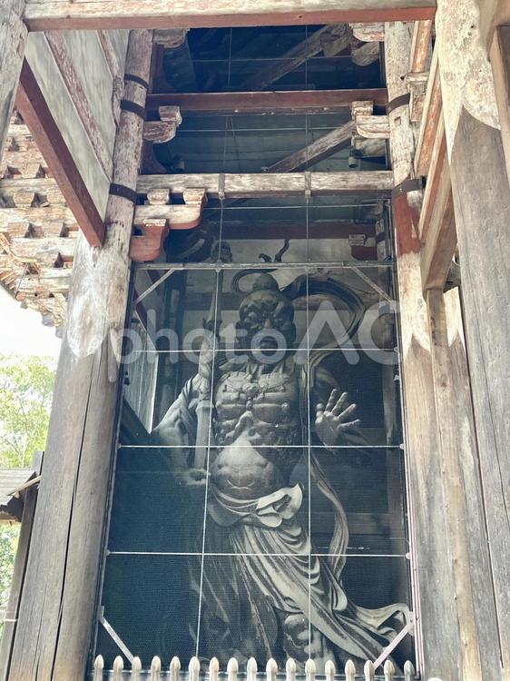 金剛力士像 奈良,東大寺,金剛力士像の写真素材