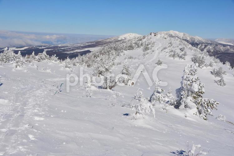 冬の湯ノ丸山の北峰へと続くトレース 湯ノ丸山,山頂,頂上の写真素材