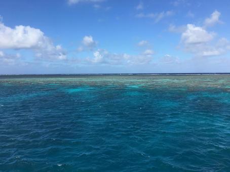 オーストラリアの海グレートバリアリーフ オーストラリア,グレートバリアリーフ,珊瑚礁の写真素材