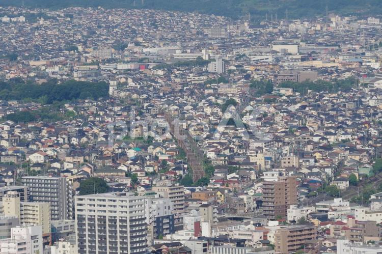 【弘法山公園】展望台からの秦野の町並み 秦野,弘法山公園,権現山の写真素材
