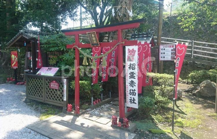 大分　福良天満宮 福良天満宮,パワースポット,神社の写真素材