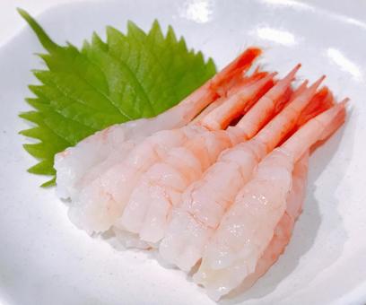 甘エビ刺身 甘エビ刺身,甘エビ,甘海老の写真素材