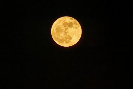 5月の満月(フラワームーン) 5月の満月(フラワームーン) 月,空,満月の写真素材