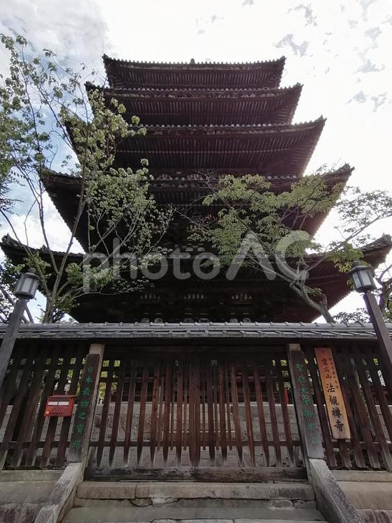 法観禅寺　五重塔 法観禅寺,法観寺,五重塔の写真素材