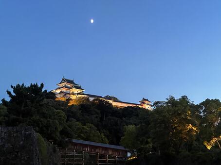 和歌山城 城,和歌山城,和歌山市の写真素材