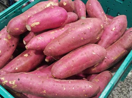 八百屋さんの「さつまいも」 サツマイモ,秋,便秘の写真素材