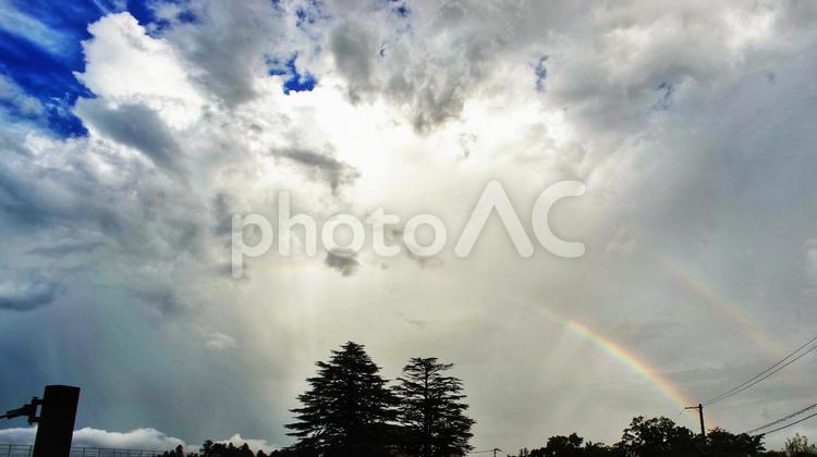 雨上がりの樹木 雨上がり,樹木,虹の写真素材