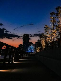 夕暮と観覧車 夕暮,海,マジックアワーの写真素材