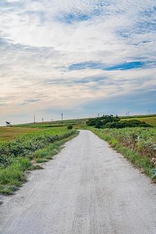 北海道 宗谷丘陵 白い道 北海道 宗谷丘陵 白い道の写真