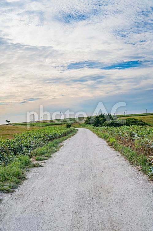 北海道　宗谷丘陵　白い道 北海道,宗谷,宗谷丘陵の写真素材