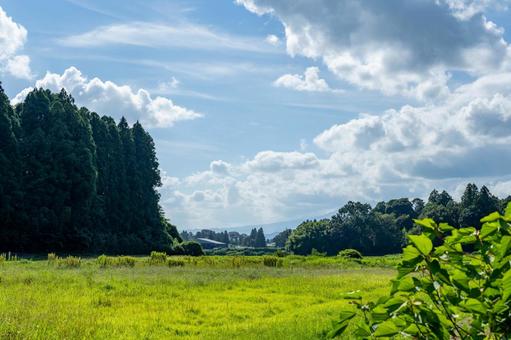 夏の青空と白い雲 夏の青空と白い雲 青空,空,雲の写真素材