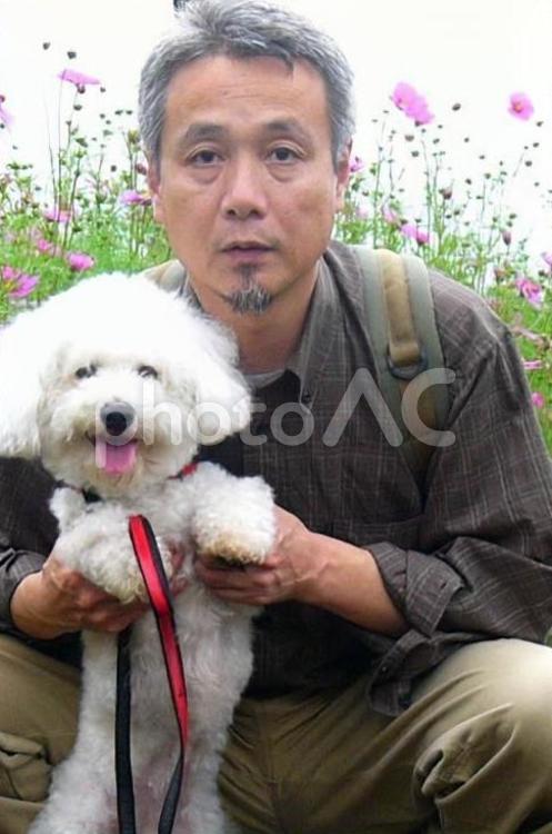 花畑とビションフリーゼと男性 ビションフリーゼ,犬,ペットの写真素材