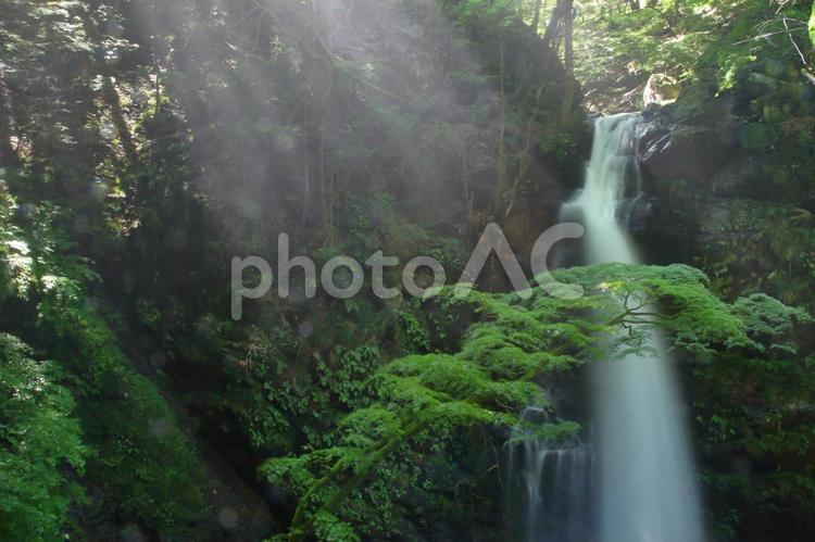 柱戸不動滝 滝,不動滝,マイナスイオンの写真素材