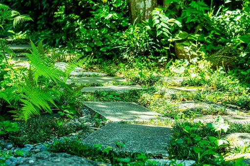 Stepping stones in the shade of summer trees, JPG