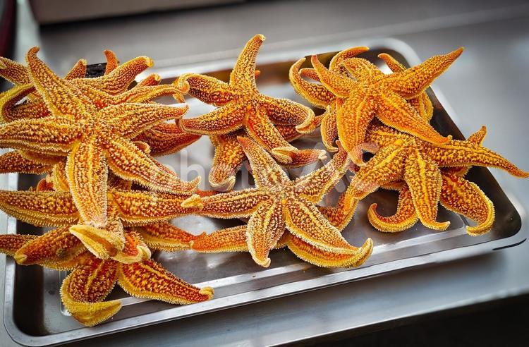 アジアの海鮮市場で見かけたヒトデ料理 ヒトデ,海鮮,食材の写真素材
