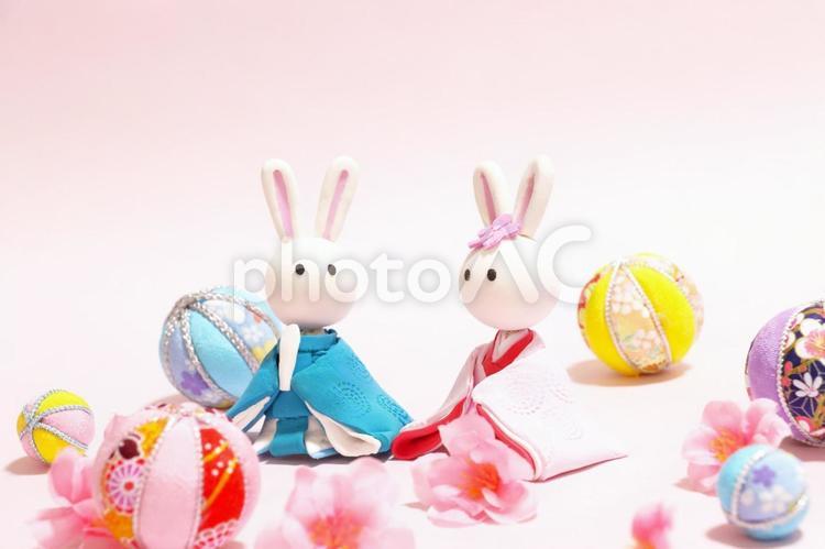 ひな祭り背景　かわいいうさぎのお雛様 おひな様,かわいい,うさぎの写真素材