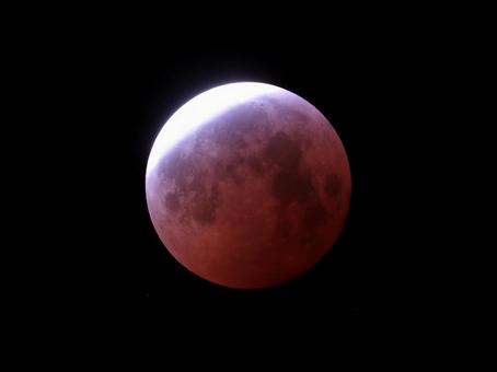 皆既月食 ブルーベルト④・天体 皆既月食 ブルーベルト④・天体の写真