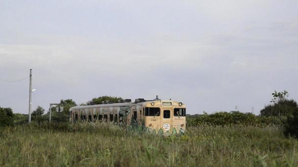 ススキに埋もれた駅 ススキに埋もれた駅の写真