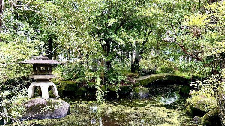 石灯籠のある池 自然,庭園,池の写真素材