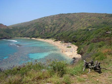 ハナウマ湾(ハワイ) ハナウマ湾(ハワイ) ハナウマ湾,ハナウマベイ,ハワイの写真素材