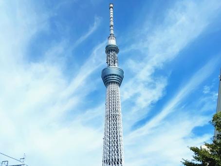 白く細い筋状や羽毛のような「すじ雲」 白く細い筋状や羽毛のような「すじ雲」の写真