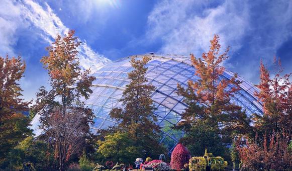 秋の風景/とっとり花回廊・フラワードームの写真