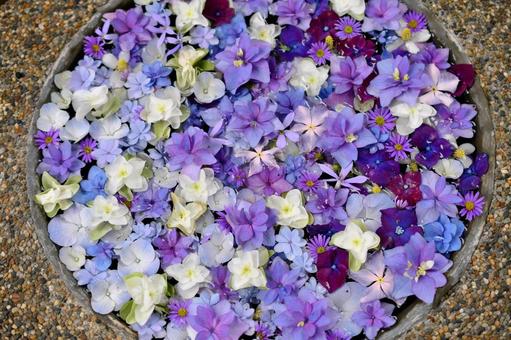 花手水 花手水の写真