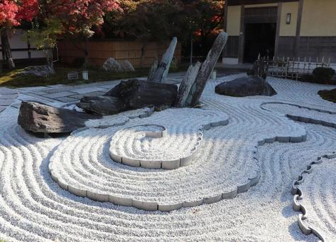 圓光寺　奔龍庭 圓光寺,奔龍庭,枯山水の写真素材